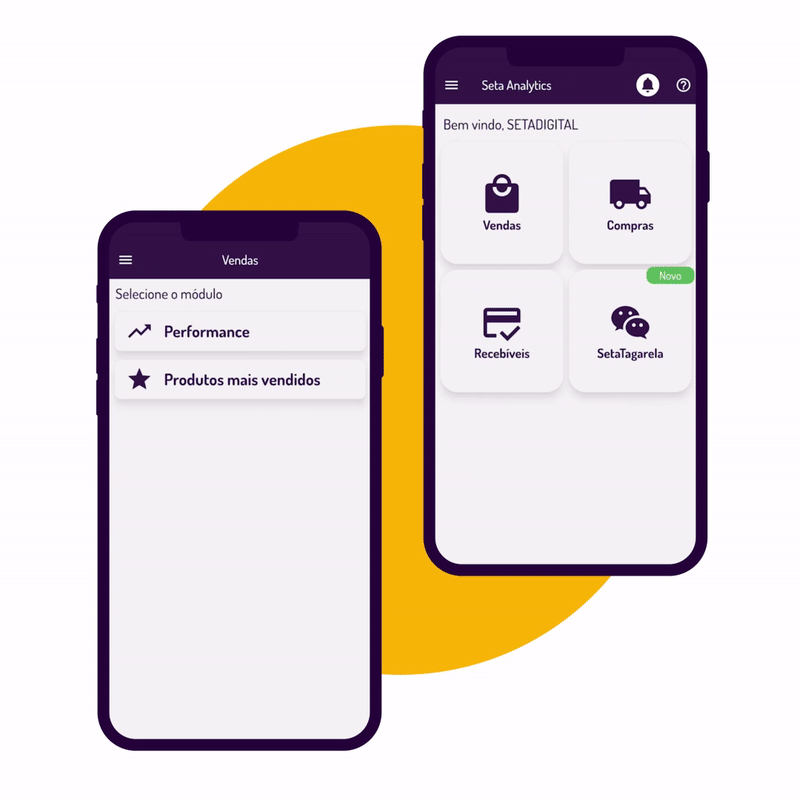 GIF-seta-site-v01 GIF-seta-site-v01