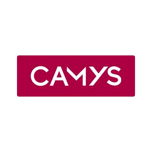 Camys