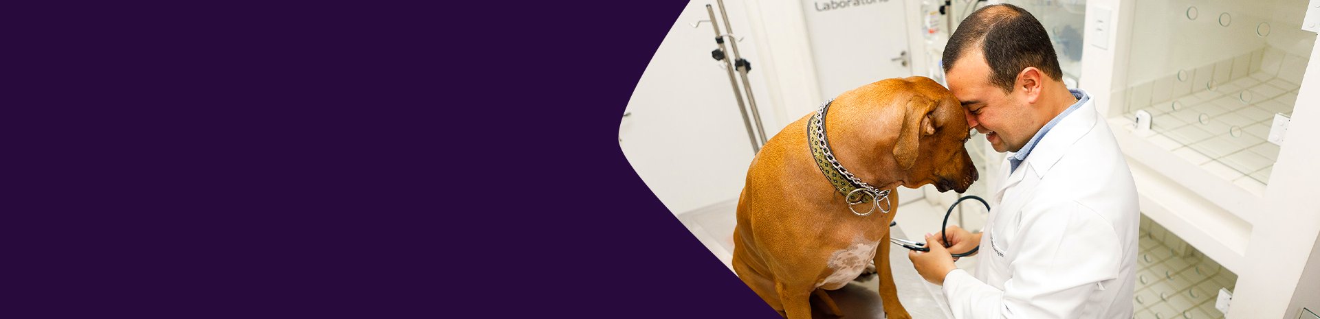 Sistema para Pet Shop e Clínica Veterinária