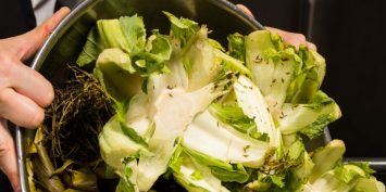 Como a tecnologia pode ajudar a evitar o desperdício de alimentos? Entenda!