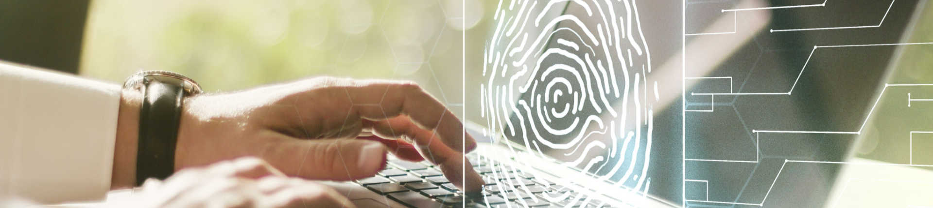 Renovação do Certificado Digital: entenda como funciona o processo