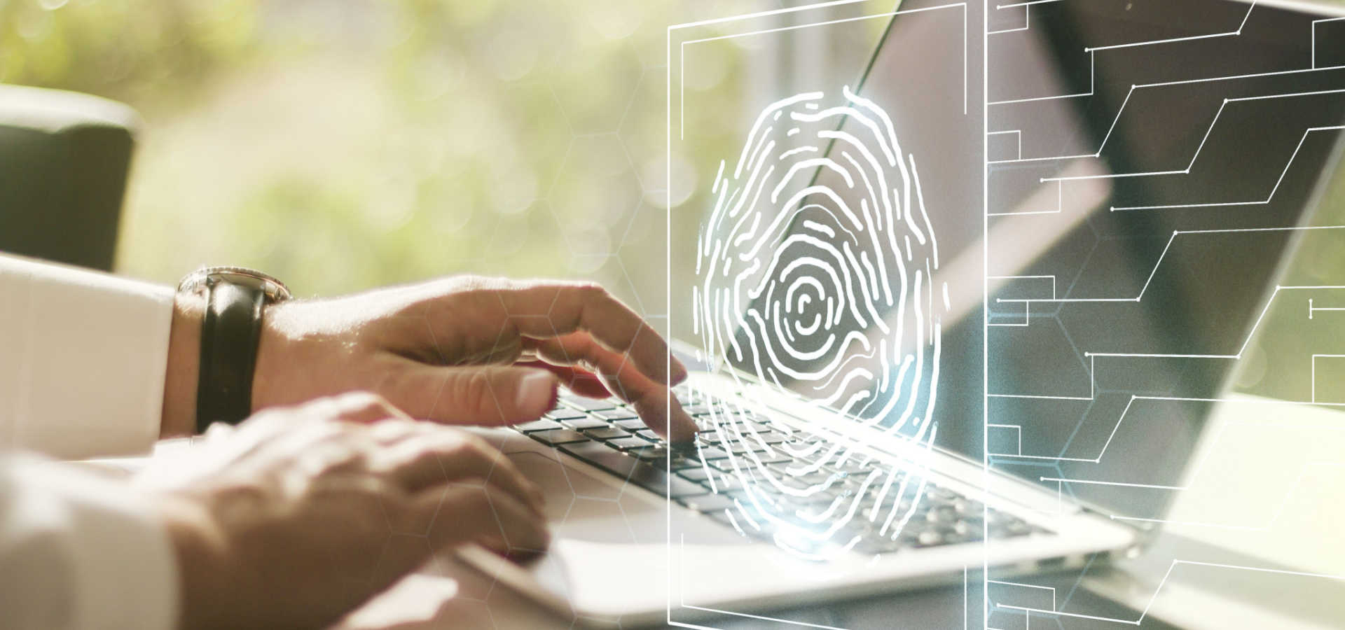 renovação certificado digital