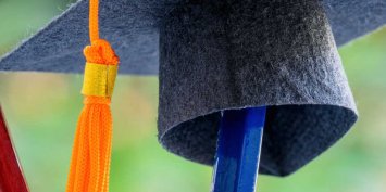 Tudo o que você precisa saber sobre gestão pedagógica