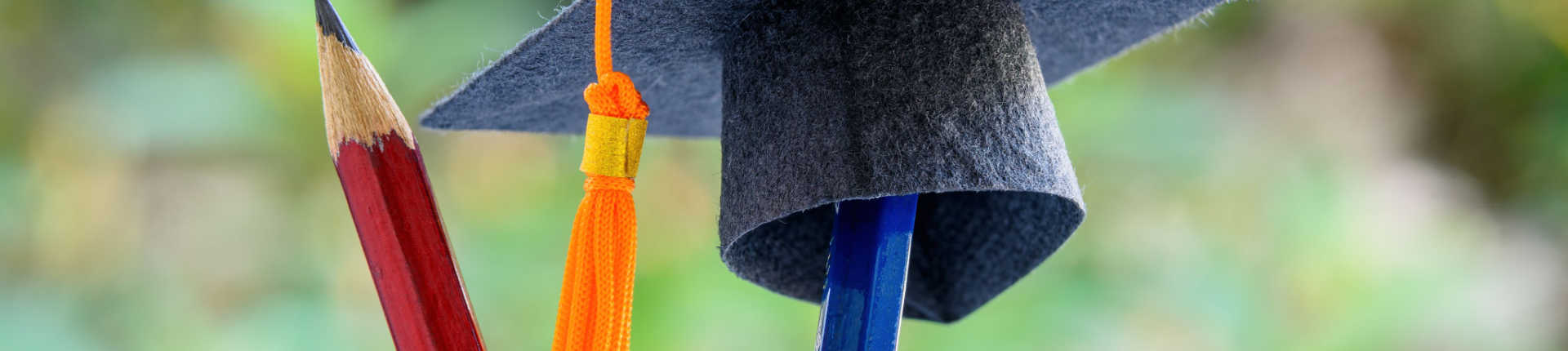 Tudo o que você precisa saber sobre gestão pedagógica