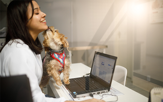 Sistema para Pet Shop e Clínica Veterinária Sistema para Pet Shop e Clínica Veterinária