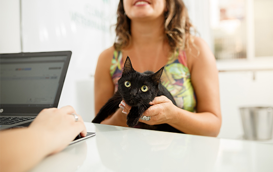 Sistema para Pet Shop e Clínica Veterinária Sistema para Pet Shop e Clínica Veterinária